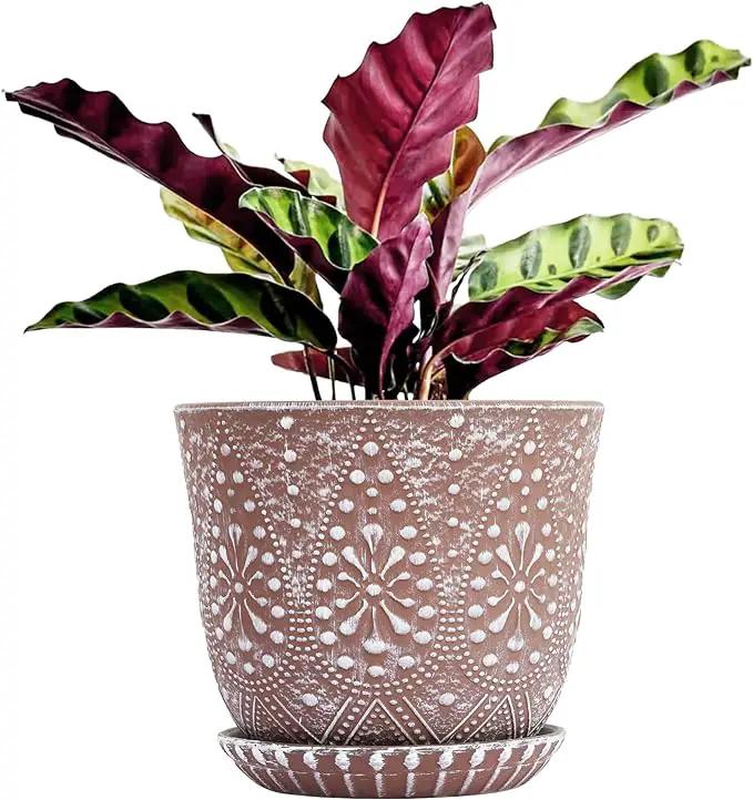 Gepege 10 Inch Plant Pot, Ceramic Planter with Drainage Holes and Saucers for Plants Indoor and Outdoor Flower Pot by GreenHaven Gardens