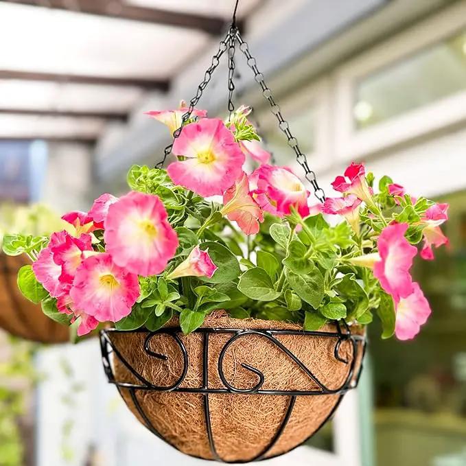 LaLaGreen Hanging Planter for Outdoor Plants (2 Pack, 10 Inch) Hanging Baskets with Coco Liner, Metal Wire Flower Basket Pots with Hook Hanger Balcony Porch Farmhouse Country Style Garden Decor by GreenHaven Gardens