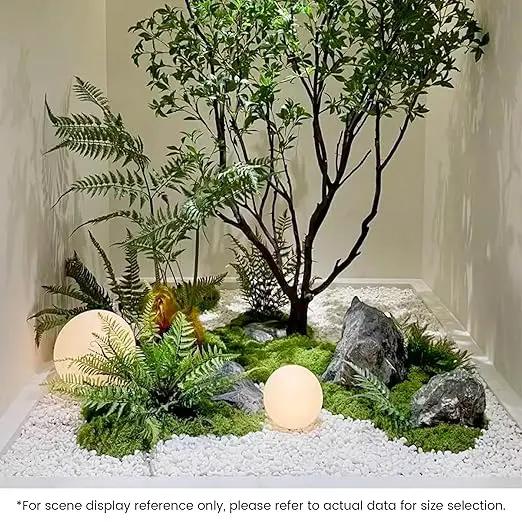 SIDONG 5 LB White River Rocks, 0.3-0.5 Inches Matte Pebbles for Indoor Plants, Aquarium Rocks Used in Fish Tank, Decorative Stones for Plants, Vases, Home Décor, Crafting, Garden Landscaping by GreenHaven Gardens