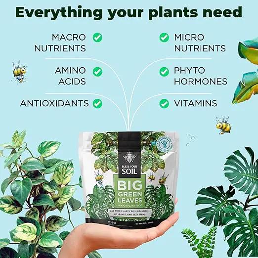 Big Green Leaves | Superfood Houseplant Fertilizer, Indoor Plants - Water Soluble Plant Food + Organic Kelp | 4X More Concentrated | 12-4-8 NPK (1LB) by GreenHaven Gardens