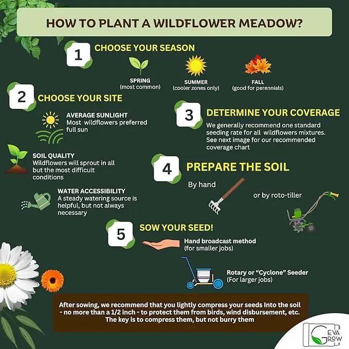 Mini Wildflower Seed Shaker – Honey Bee Wildflower Mix, by GevaGrow | Bulk 90,000+ Seeds | Pollinator Bee Attracting Flower Seeds for Planting in Pots & Outdoor Gardens | No Messy Packets by GreenHaven Gardens