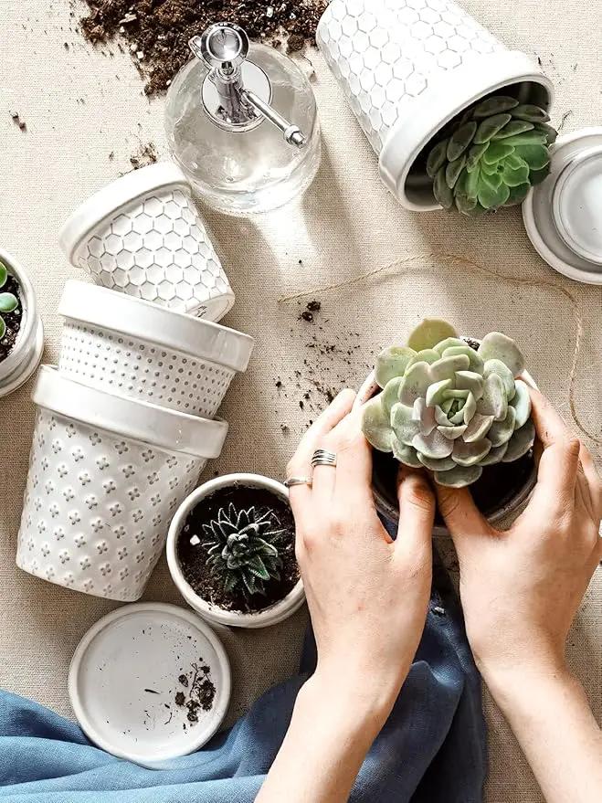 LE TAUCI Ceramic Succulent Pots, 4 Inch Small Plant Pot for Indoor Plant Cactus, Embossed Flower Pots with Drainage Hole & Saucer - Set of 4, Arctic White by GreenHaven Gardens