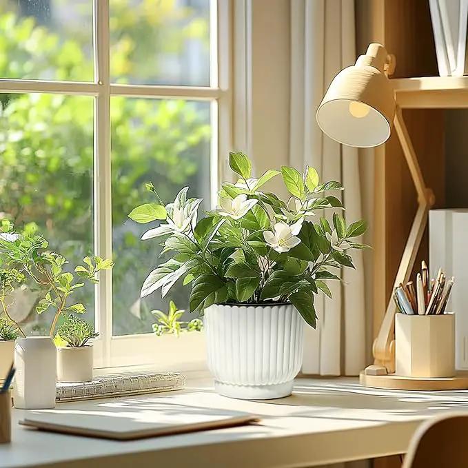 T4U 6 Inch Self Watering Pots for Indoor Plants, 6 Pack White Plastic Flower Pots for All House Plants, Flowers, African Violets by GreenHaven Gardens