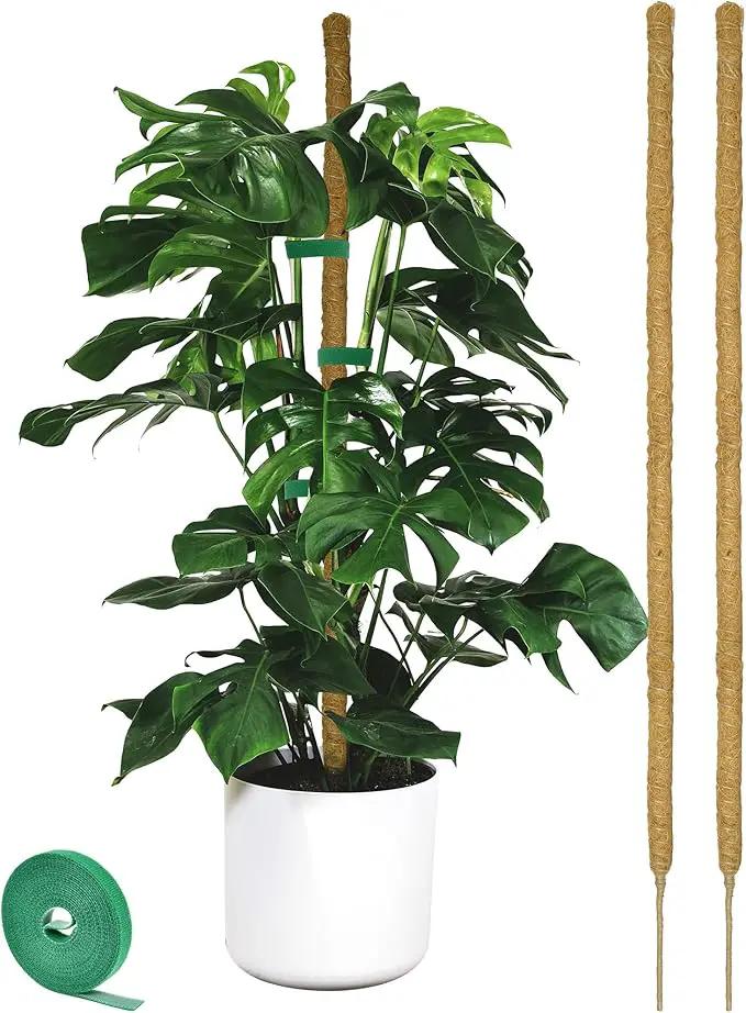 2 Pack Moss pole - 46 Inch Moss Pole Indoor - Monstera Plant Support - Plant Stakes for Indoor Plants - Plant Stiks support Tall - Moss Pole for Climbing Plants support - Monstera Pot - Moss Poles by GreenHaven Gardens