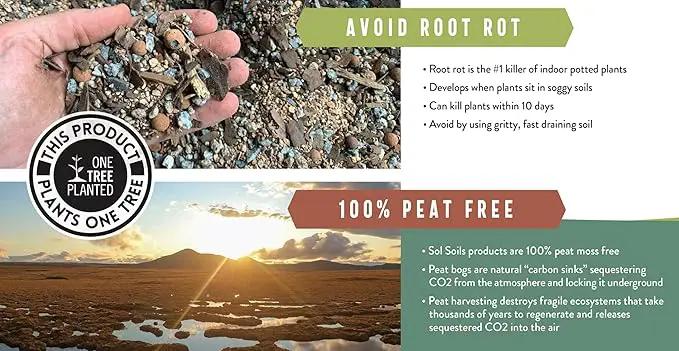 Sol Soils Succulent Gritty Mix 1 Gallon - Fast Draining Peat Moss Free Succulent Soil Potting Mix with Coconut Husk Chips, Perlite & Pumice by GreenHaven Gardens