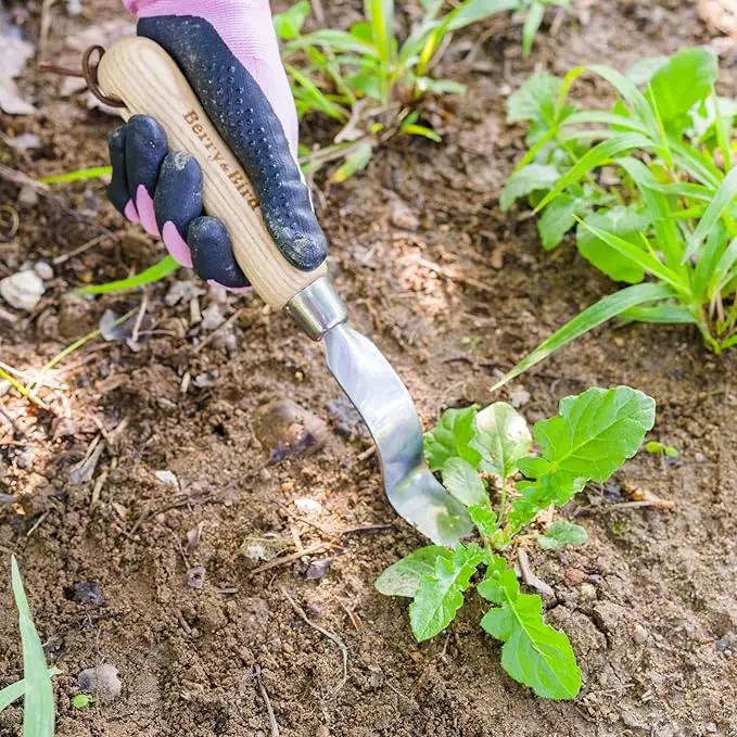 Berry&Bird Hand Weeder Tool, Stainless Steel Gardening Weed Puller, 12.1" Manual Weeding Removal Cutter Tool with Ash Wood Handle for Planting, Weeding, Flower & Vegetable Care in Garden Lawn Yard by GreenHaven Gardens