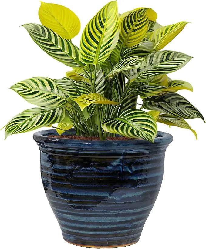 Sunnydaze Studio Large Ceramic Plant Pot - Round Outdoor Glazed Ceramic Planter Pot with Drainage - Galaxy Blue - 18.5" by GreenHaven Gardens