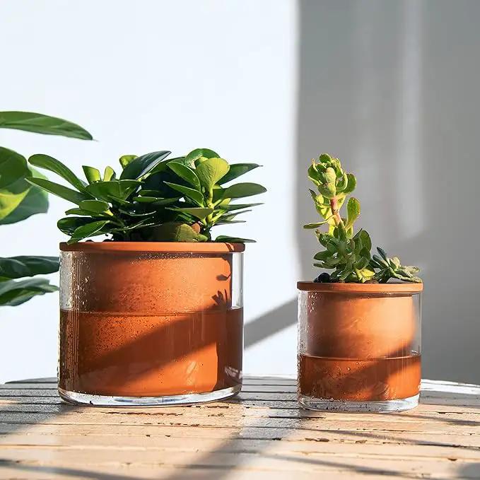 Phoenix Vine 4 Inch 6 Inch Self Watering Plants Pots, Design Terracotta Pots for Plants, Indoor Cylinder Terra Cotta Planter with Glass Vase Set, 51-A-G-46 by GreenHaven Gardens