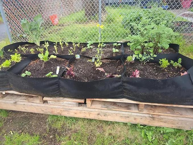 POILKMNI Fabric Raised Garden Bed, 232 Gallon 8 Grids Plant Grow Bags 8x4x1ft Large Garden Grow Bed Bags for Growing Herbs, Flowers and Vegetables by GreenHaven Gardens