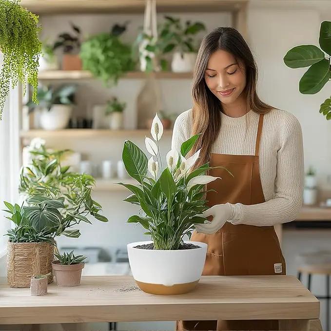 8 Inch Pots for Indoor Plants, Self Watering Planters with Drainage and Saucers, Plastic Outdoor Flower Pot, Set of 2, White by GreenHaven Gardens