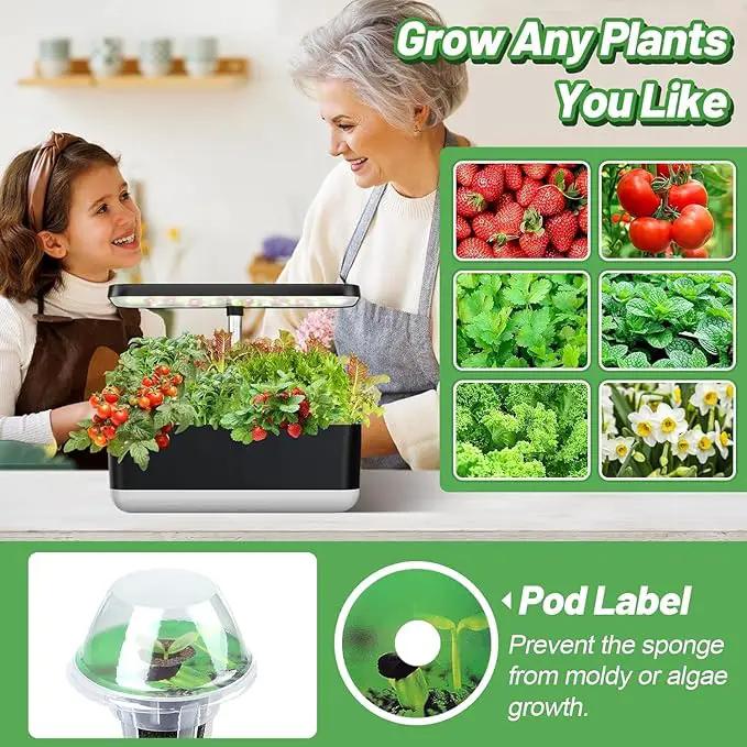 50pcs Hydroponic Grow Sponges for Aerogarden - Seed Sprout Pods Kit with Plant Food, Compatible with Most Indoor Hydroponics Plants Growing System by GreenHaven Gardens