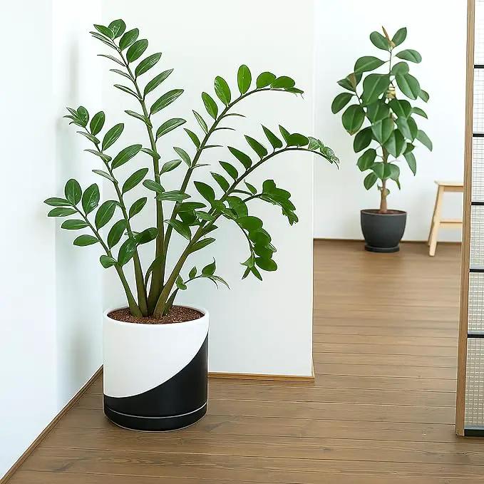 D'vine Dev 10 Inch Ceramic Planter Pot with Drainage Hole and Saucer, Indoor Cylinder Round Planter Pot, Oblique Monochrome Black and White, 94-O-E-K by GreenHaven Gardens