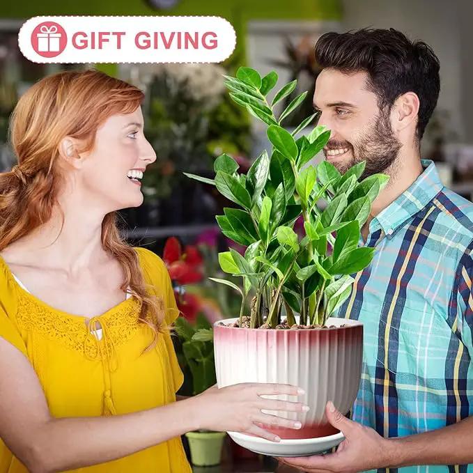 8 Inch Plant Pot, Ceramic Planter with Drainage and Saucer, Ceramic Pots for Plants, Indoor Plant pots,Flower pots(Pink + White, Plants NOT Included) by GreenHaven Gardens