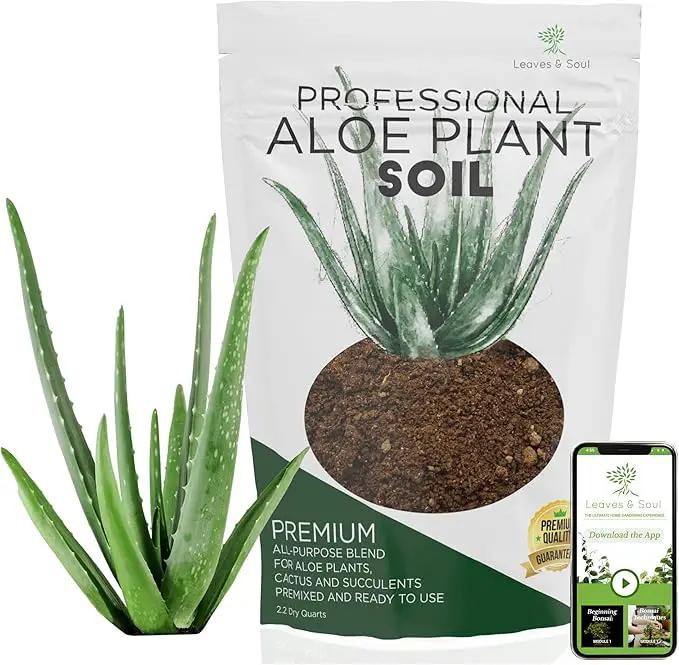 Professional Aloe Plant Soil | Premium All Purpose Blend | Large 2.2 Quarts | Ready to Use for Aloe, Cactus, Succulent Plants | Pinebark, Peat, Course Sand | Made in USA by GreenHaven Gardens