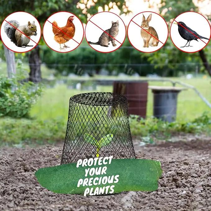 Garden Cloches for Plants, Sapbontchi Chicken Wire Plant Covers Plant Protectors from Animals Plant Protector Metal Plant Cages to Keep Rabbits Out Bunnies Chicken Squirrels Bird Out by GreenHaven Gardens