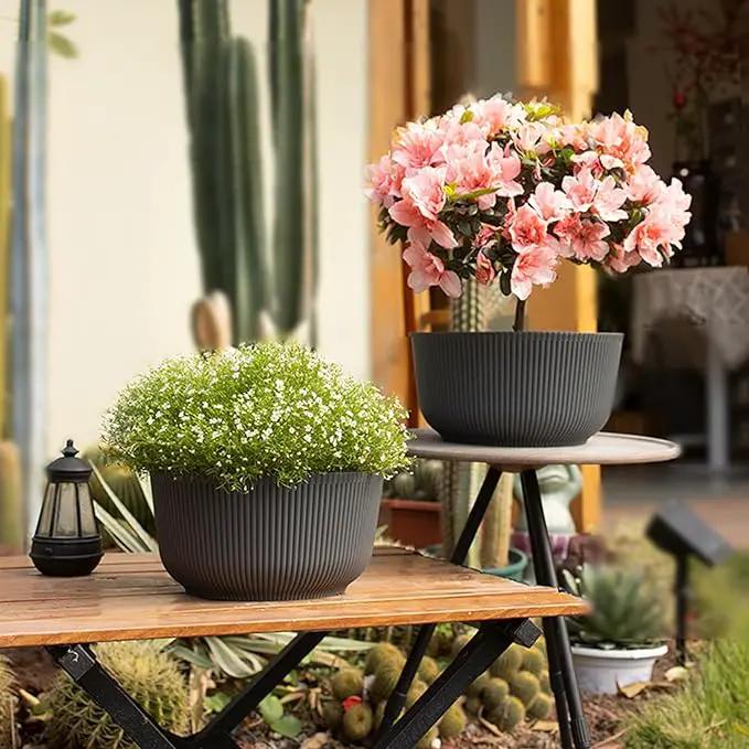 T4U 8 Inch Plant Pots, 2 Pack Self Watering Planter with Drainage Hole, Shallow Plant Pot Indoor, Home Decor Flower Pots for Plants, Cactus, Garden, Gray by GreenHaven Gardens