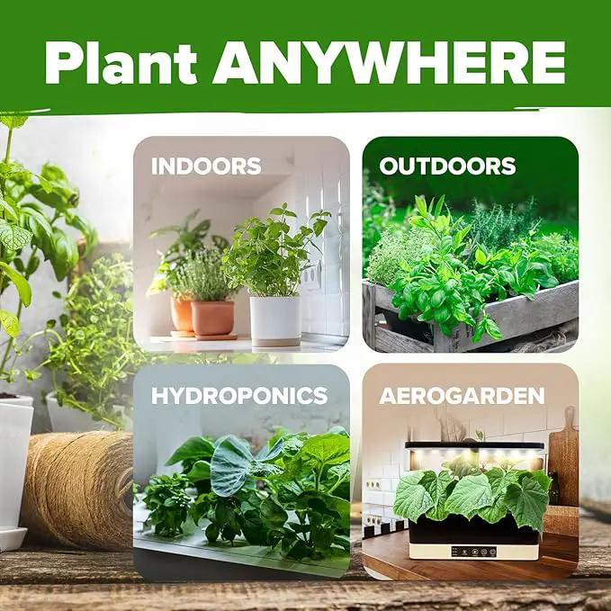 HOME GROWN 20 Herb Seeds for Planting 6,000+ Non-GMO Heirloom Seeds | Extra Large Variety Pack Herb Kit – Indoor Outdoor & Hydroponic | Culinary Seed Set | Grow Your Own Herbs | Gardening Gift by GreenHaven Gardens