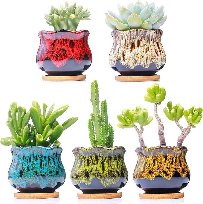 Cute Ceramic Succulent Garden Pots, Planter with Drainage and Attached Saucer, Set of 5 - Plants Not Included (Fambe) by GreenHaven Gardens