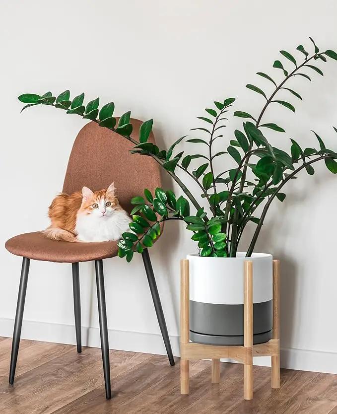 D'vine Dev Ceramic Planter with Natural Stand - 10 Inch Modern Round Flower Pot with Wood Planter Holder, White/Grey, 55-B-K-6 by GreenHaven Gardens