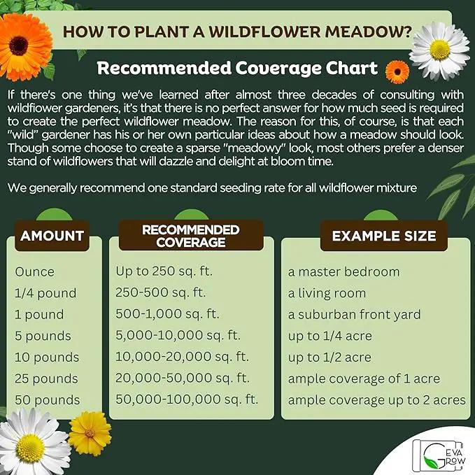 Mini Wildflower Seed Shaker – Honey Bee Wildflower Mix, by GevaGrow | Bulk 90,000+ Seeds | Pollinator Bee Attracting Flower Seeds for Planting in Pots & Outdoor Gardens | No Messy Packets by GreenHaven Gardens
