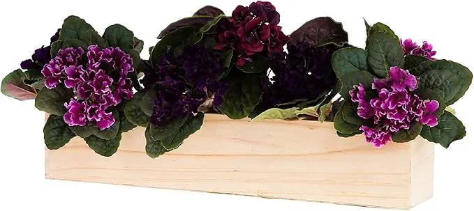 20" Rectangular Rustic Wood Planter with Plastic Liner l Rose Wood l Country Style, Home and Wedding Decorations, Garden Ornaments (20x4 Set of 2, Rose Wood) by GreenHaven Gardens
