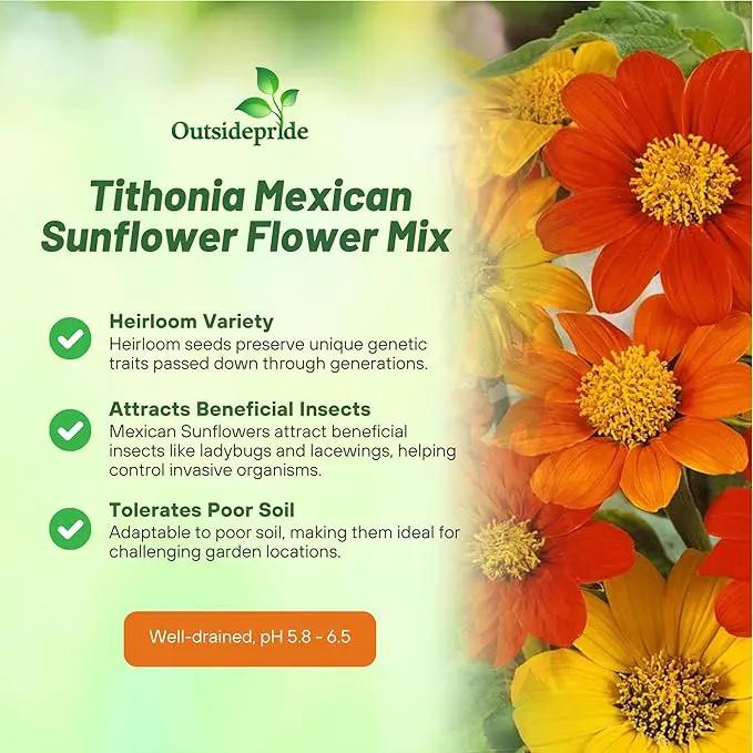 Outsidepride Mexican Sunflower Seeds Mix - 1000 Pcs Annual, Easy-to-Grow, Mixed Tithonia Speciosa Flower Seeds w/Drought-Tolerant Blooms for Pollinator Gardens & Vibrant Summer Landscaping by GreenHaven Gardens