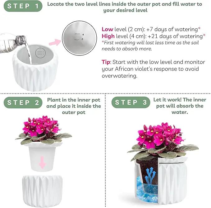 6 inch Self Watering Pot for Indoor Plants, African Violet Pot Ceramic, Flowers Planter (4 inch Opening), Holds 3 Weeks of Water (1 Pack) by GreenHaven Gardens