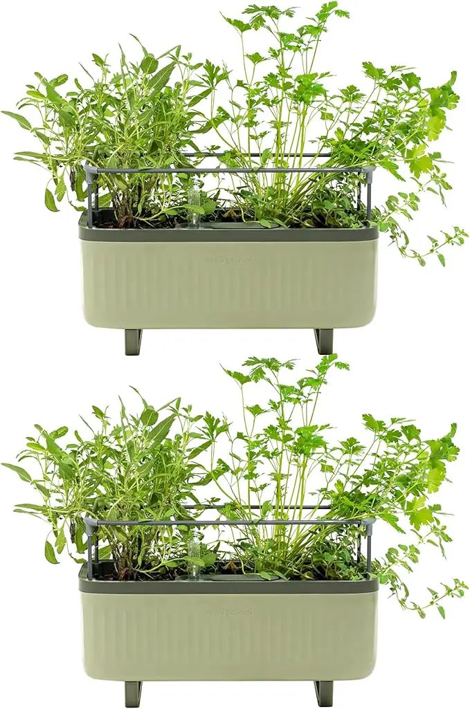 Vego Garden 2 Pack Herb Indoor Plant Box, Self Watering Planters Pots with Trellis for Kitchen Window Sill or Countertop Plants Cage - Sage Green by GreenHaven Gardens