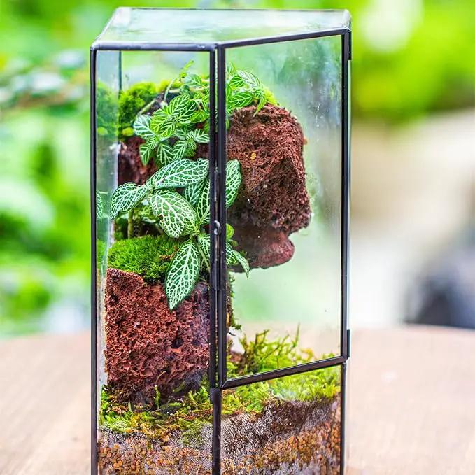 NCYP Front Opening Glass Terrarium with Door for Succulents, Small Plants - Closed Geometric Container Planter, Indoor Tabletop Wall Corner Landscape Decor, Black, 5" x 5" x 9.8" (Terrarium Only) by GreenHaven Gardens