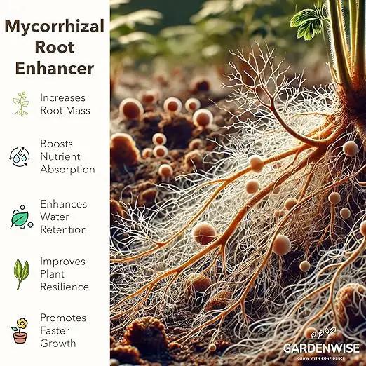Organic Liquid Plant Food for Indoor Houseplants – All Purpose Fertilizer for Potted Plants, Vegetables, Succulents, Orchids, Roses – Miracle Growth with Mycorrhizae (8 oz) by GreenHaven Gardens