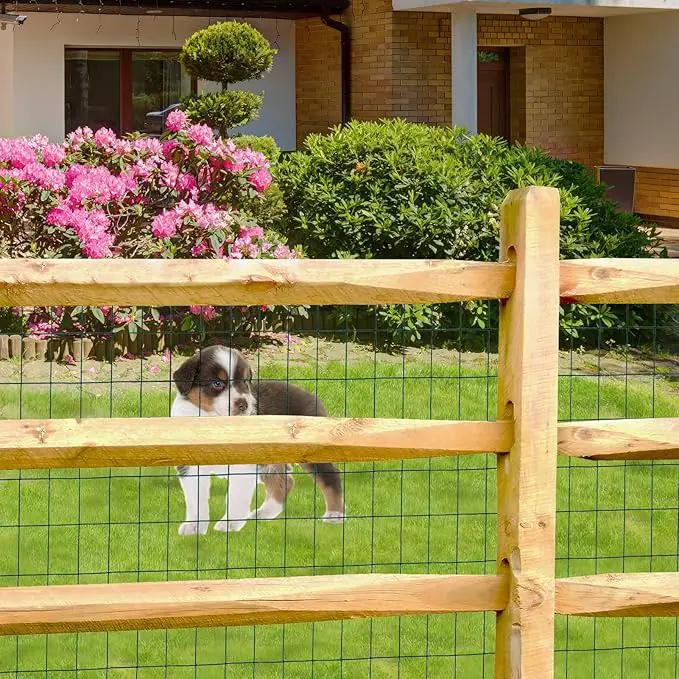 Green PVC Coated Welded Wire Fence 48 Inch x 50 Foot, 2 Inch x 3 Inch 16GA, Garden Border Fencing Roll Vinyl Coating Metal Wire Mesh for Yard Vegetable Plant Protection Poultry Netting by GreenHaven Gardens