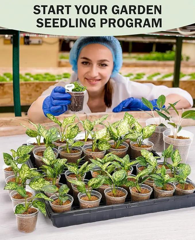homenote Clear Nursery Pots for Plants,4 Inch Plant Pot for Planting Plastic Seedling with Drainage Holes Seed Starter Flower High Transparency with 20 Labels (60 Pack) by GreenHaven Gardens