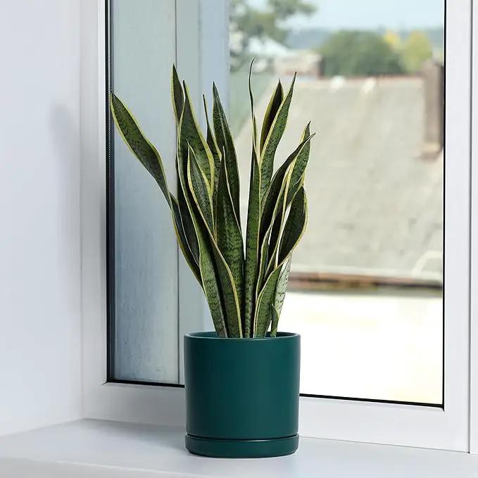 D'vine Dev Set of 2 Plants Pots, 6 Inch Ceramic Planter Pot for Plants with Drainage Hole and Saucer, Teal, 94-V-C-9 by GreenHaven Gardens