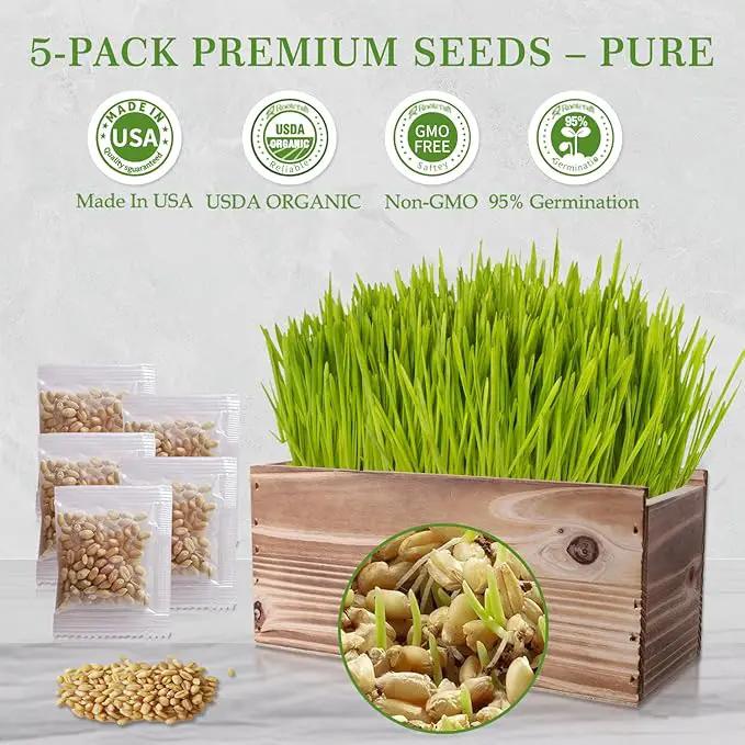 Cat Grass Kit for Indoor Cats - 5X Seed Packets with Handmade Wood Planter | Grow Organic Non-GMO Wheat Grass in 4-7 Days, Aids Digestion & Hairball Control, Ideal Gift for Cat Lovers by GreenHaven Gardens