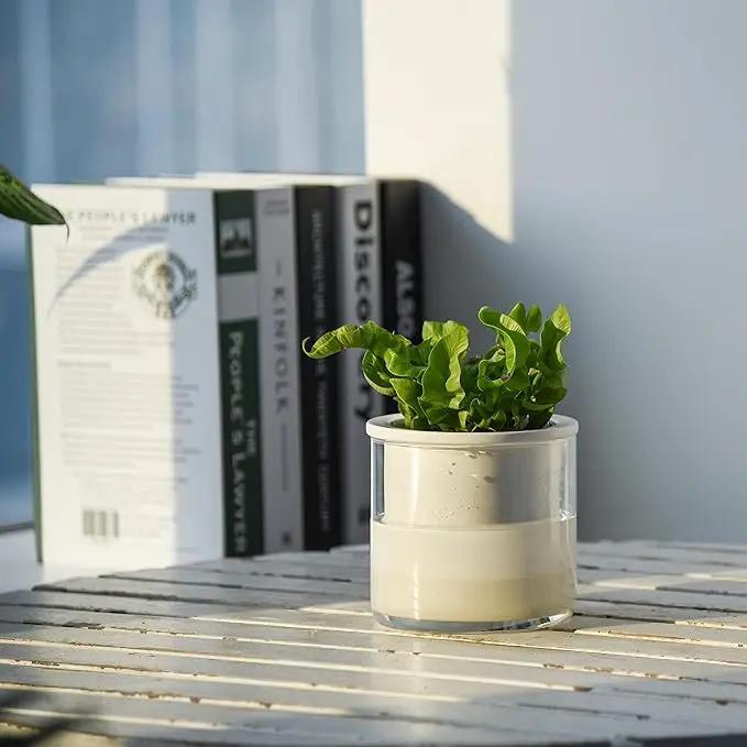 Phoenix Vine 4 Inch Self Watering Planter Pot, Design White Terracotta Pots for Plants, Indoor Cylinder Terra Cotta Pots with Glass Vase, Set of 2, 51-B-E-2 by GreenHaven Gardens