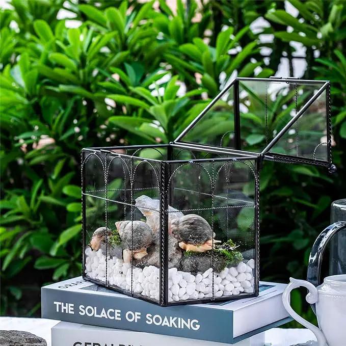 NCYP Black Glass Terrarium with Lid, Indoor Geometric Planter for Cacti, Air Plants, Succulents, Insect, Snail, House Shape Closed Box 7.5" x 4.9" x 9" (No Plant Included) by GreenHaven Gardens