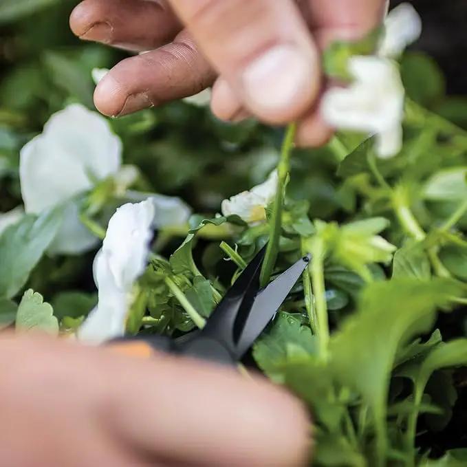 Fiskars 6" Pruning Scissors (2-Pack) for Flowers, Buds, Weeds and Small Plants, Garden Snips with Resin Resistant Nonstick Stainless Steel Blades, Gardening Trimmers with Comfortable Handle by GreenHaven Gardens