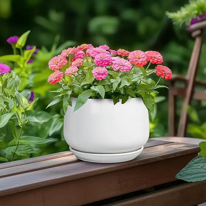 G EPGardening Ceramic Pots for Plants - 6 Inch Planter for Indoor Plants, Flower Pots with Drainage and Ceramic Tray, Modern Office Decor, Gifts for Plant Lovers, White by GreenHaven Gardens