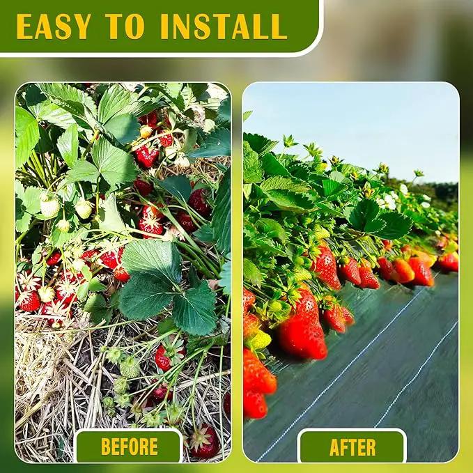 KAKO 4 x 300Ft Weed Barrier Fabric Heavy Duty, Weed Barrier Landscape Fabric, Garden Fabric Weed Barrier, Garden Weed Barrier Fabric Weed Cloth for Garden Fabric, Landscaping Fabric, Driveway Fabric by GreenHaven Gardens