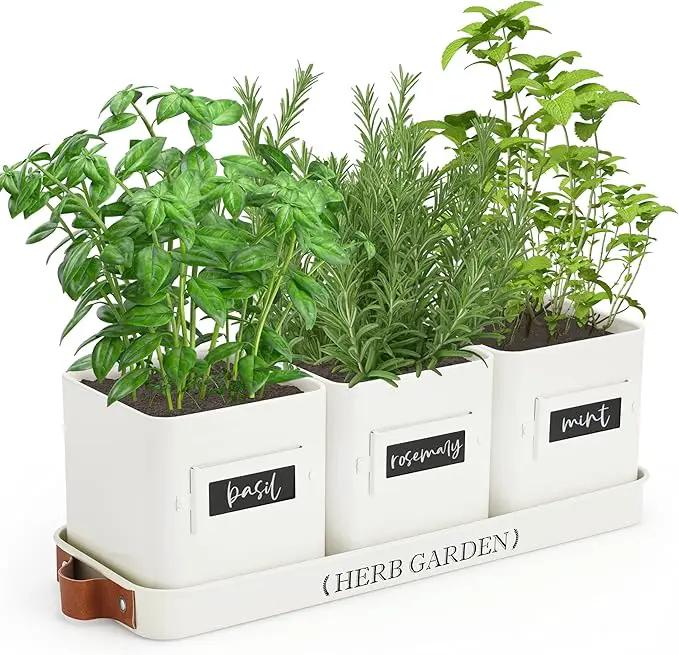 PERFNIQUE Indoor Herb Garden, Herb Garden Planter Set with Tray, Farmhouse Indoor Plant Pots, Windowsill Herb Garden with Drainage(Planter only) for Indoor/Outdoor, Window Pots(White) by GreenHaven Gardens