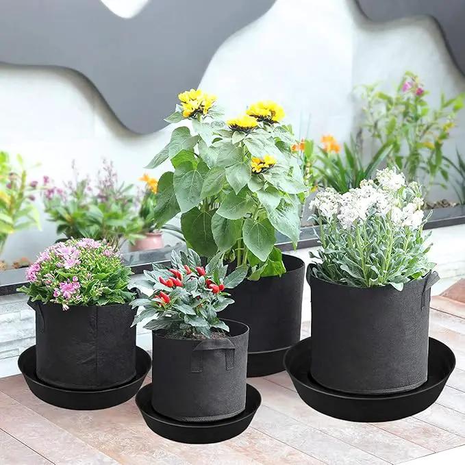 Plant Saucer 10 12 14 16 18 20 25 Inch Extra-Deep Plant Trays for Flower Pot, Heavy Drainage Tray for Indoors No Holes, 4 Pack of Plastic Plant saucers Water Catcher for Pots Base (10 Inch, Black) by GreenHaven Gardens