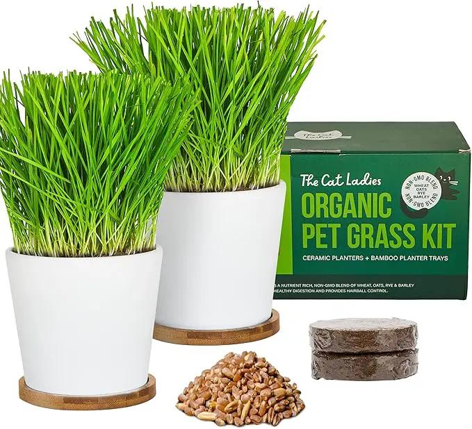 The Cat Ladies Cat Grass Growing kit with Organic Cat Grass Seed, Soil and Two Ceramic Planters with Bamboo Trays Natural Hairball Remedy by GreenHaven Gardens