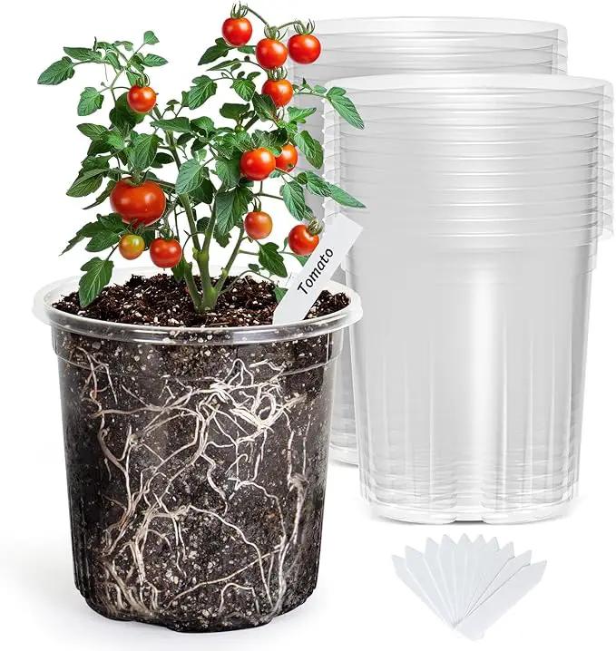 Bonviee 1 Gallon Clear Nursery Pots, 6.7 Inch Plastic Seedling Pots with Drainage Holes, Planters for Indoor Plants and Small Seed Starters, High Transparency Flower Pots with 10 Plant Labels, 20 Pack by GreenHaven Gardens