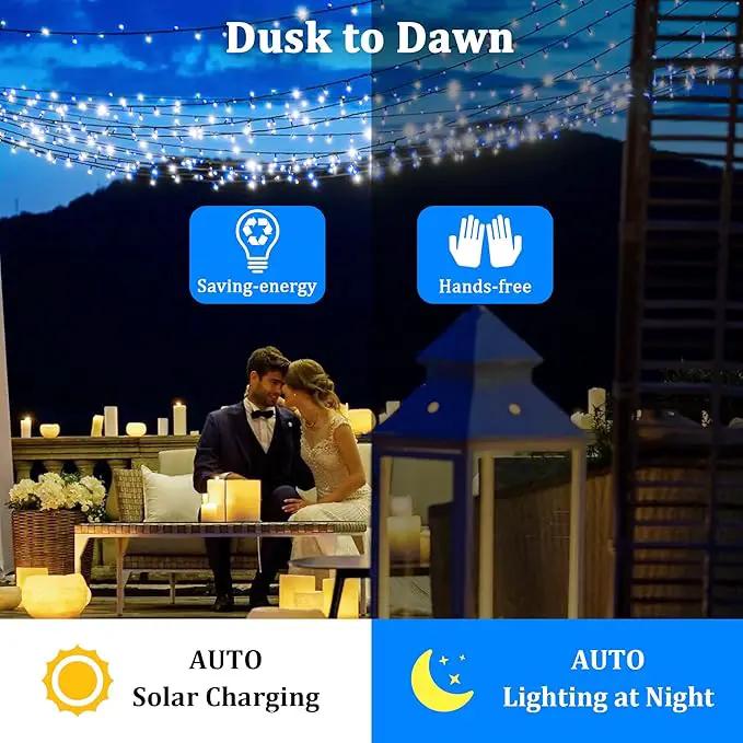 2-Pack 200FT Solar String Lights for Outside, 600 LED Extra-Bright Outdoor Light With 19 Modes & Timer, Waterproof Fairy Lights for Garden Patio Tree Christmas Decorations Blue & White by GreenHaven Gardens
