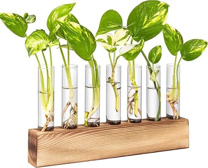KAXYEW Plant Terrarium with Wooden Stand, Plant Propagation Tubes, 7 Test Tubes Glass Planter for Hydroponic Plant Cuttings Home Office Décor by GreenHaven Gardens