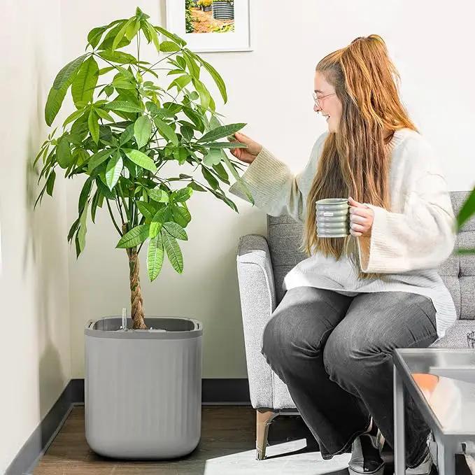 Vego garden Self Watering Pots Home Planters with Water Gauge for Effortless Indoor Plants Fog Gray by GreenHaven Gardens