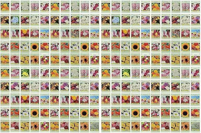 Black Duck Brand Set of 200 Flower Seed Packets! Flower Seeds in Bulk - Best Value Seeds - Great for Classrooms, Beginner Gardeners and Kids! - Deluxe Varieties! (200) by GreenHaven Gardens