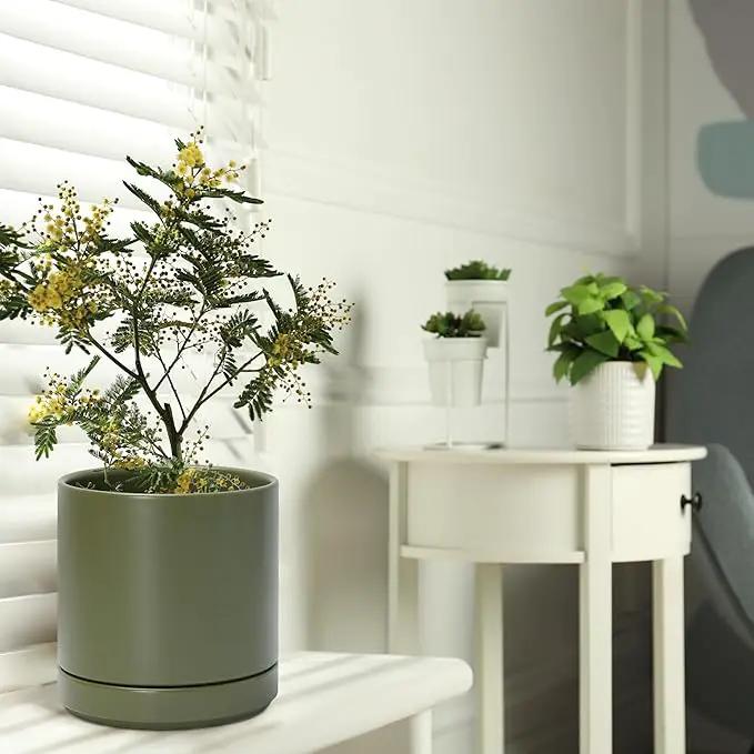 D'vine Dev 6 Inch Ceramic Planter Pot with Drainage Hole and Saucer, Indoor Cylinder Round Planter Pot, Olive, 94-O-C-J by GreenHaven Gardens