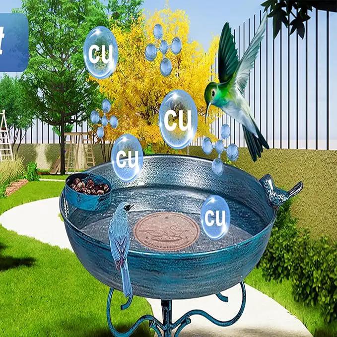 2-Pack 99.99% Pure Copper Bird Bath Purification Disk,Copper Disc with Stable Triple-Point Support,Fits All Outdoor Bird Baths(Heart-Shaped&Round) by GreenHaven Gardens