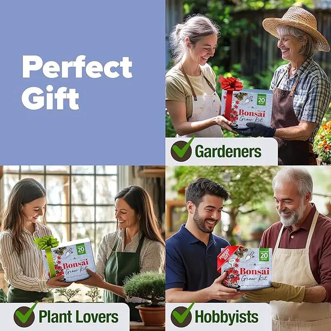 HOME GROWN Bonsai Tree Kit - Premium Ceramic Starter Kit - 4 Variety of Bonsai - Unique Gift for Men and Women Gardeners (BK2-2nd-MF) by GreenHaven Gardens